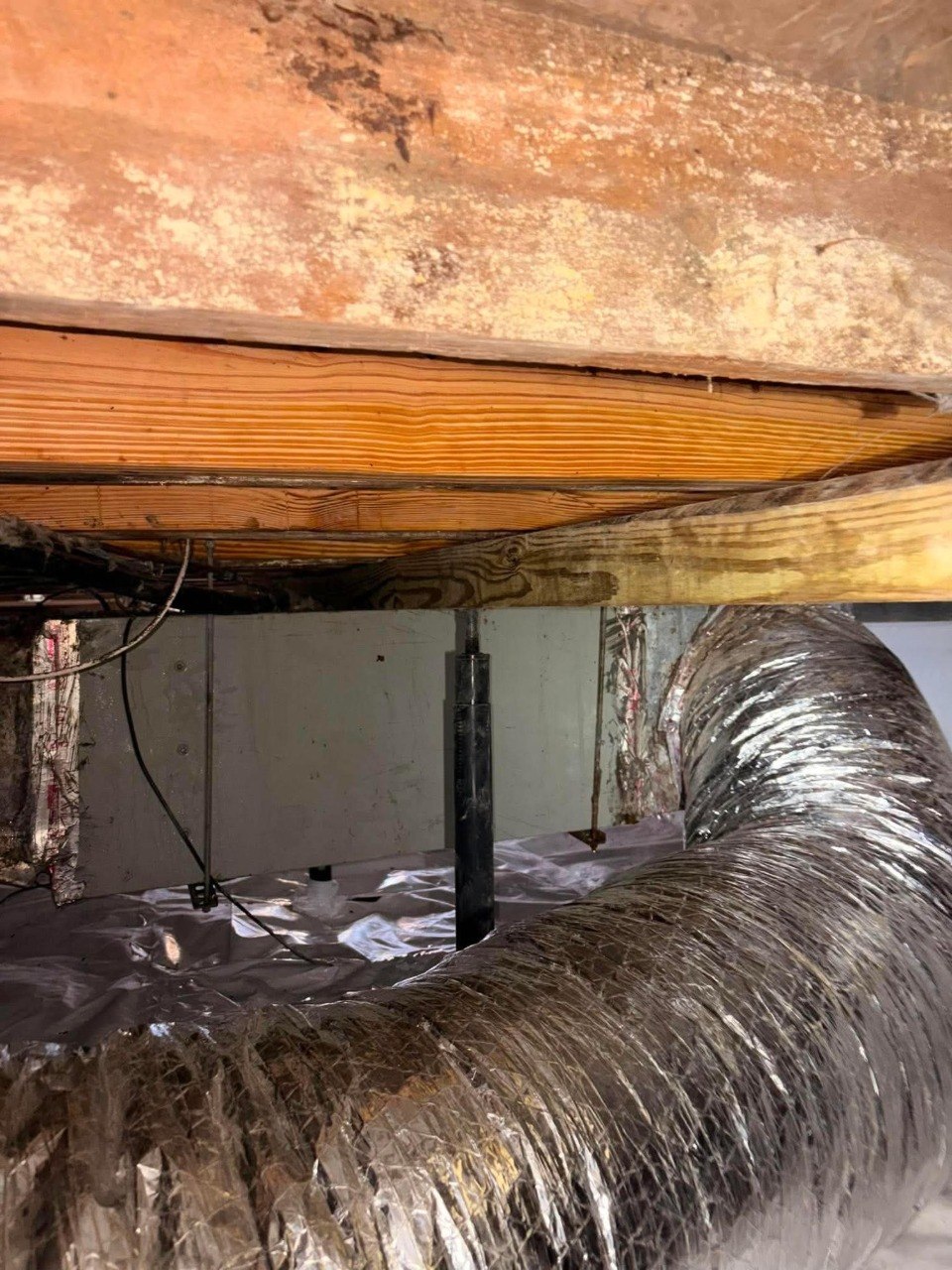 Why Summerville Homes Deal With Crawl Space Moisture