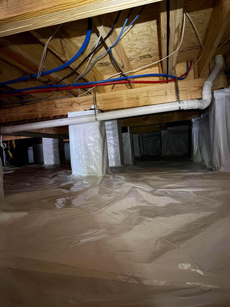 Crawl Space Mold Prevention FAQ