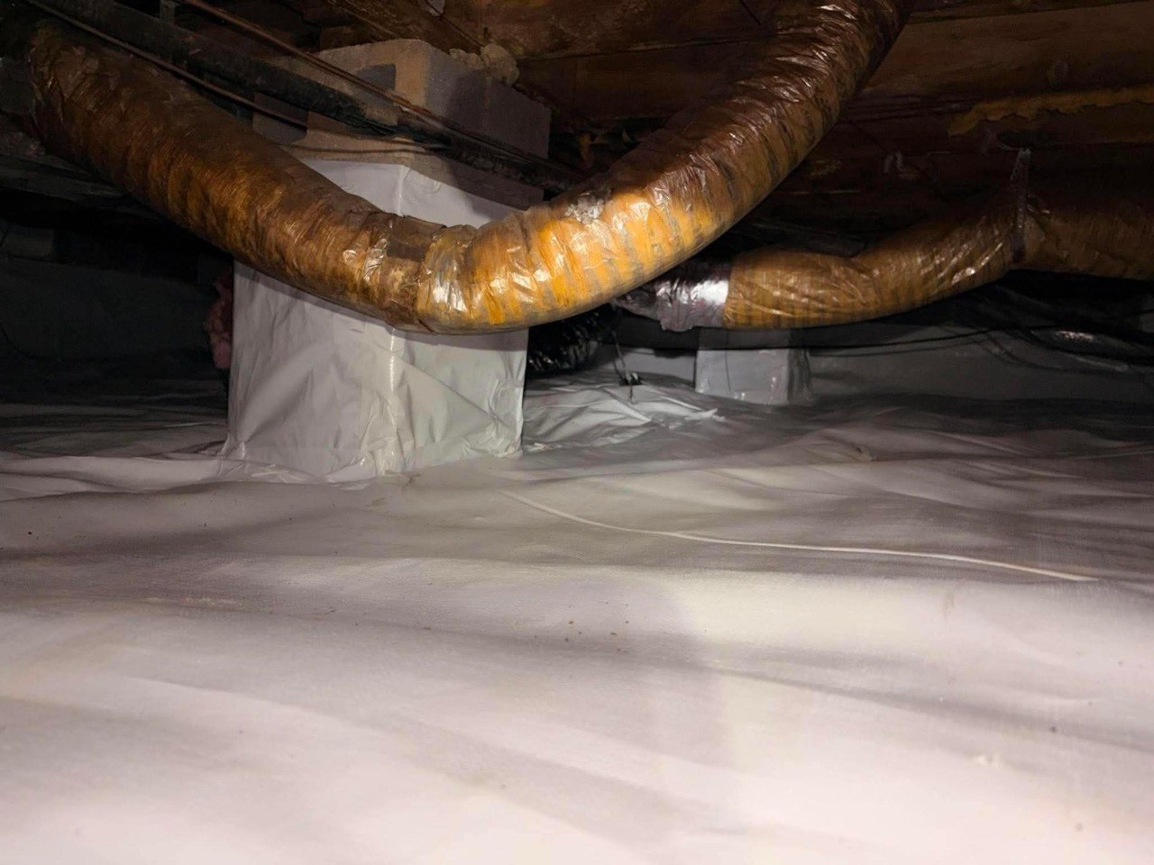 Damp-condition support photo